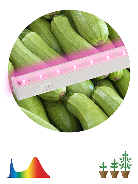 Светильник LED ERA 9Вт Фито