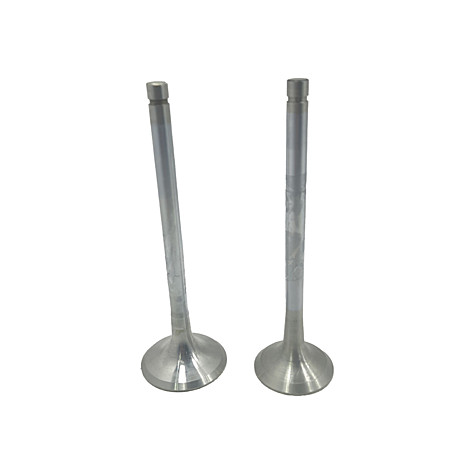 Клапан Dingo 110куб впуск/выпуск