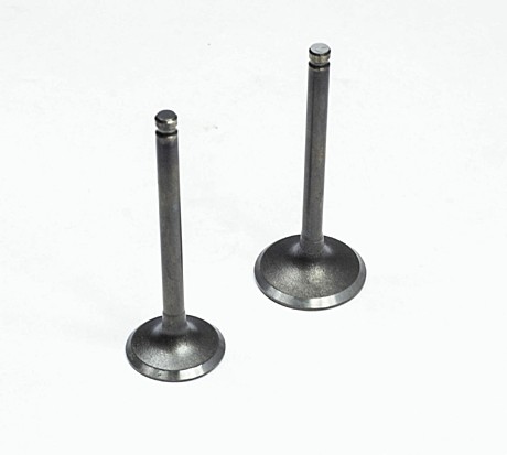 Клапан Dingo 70куб кт2шт d20/23