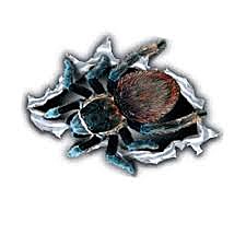 Наклейка ПАУК разрыв 19х26