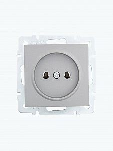 Розетка Lezard Vesna 1-м СУ платина